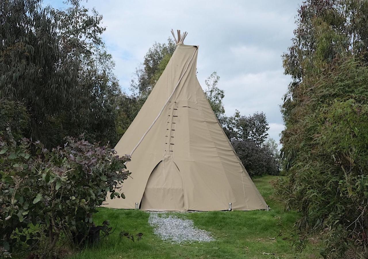 Gumtree Tipis Hotel Bickington Luaran gambar