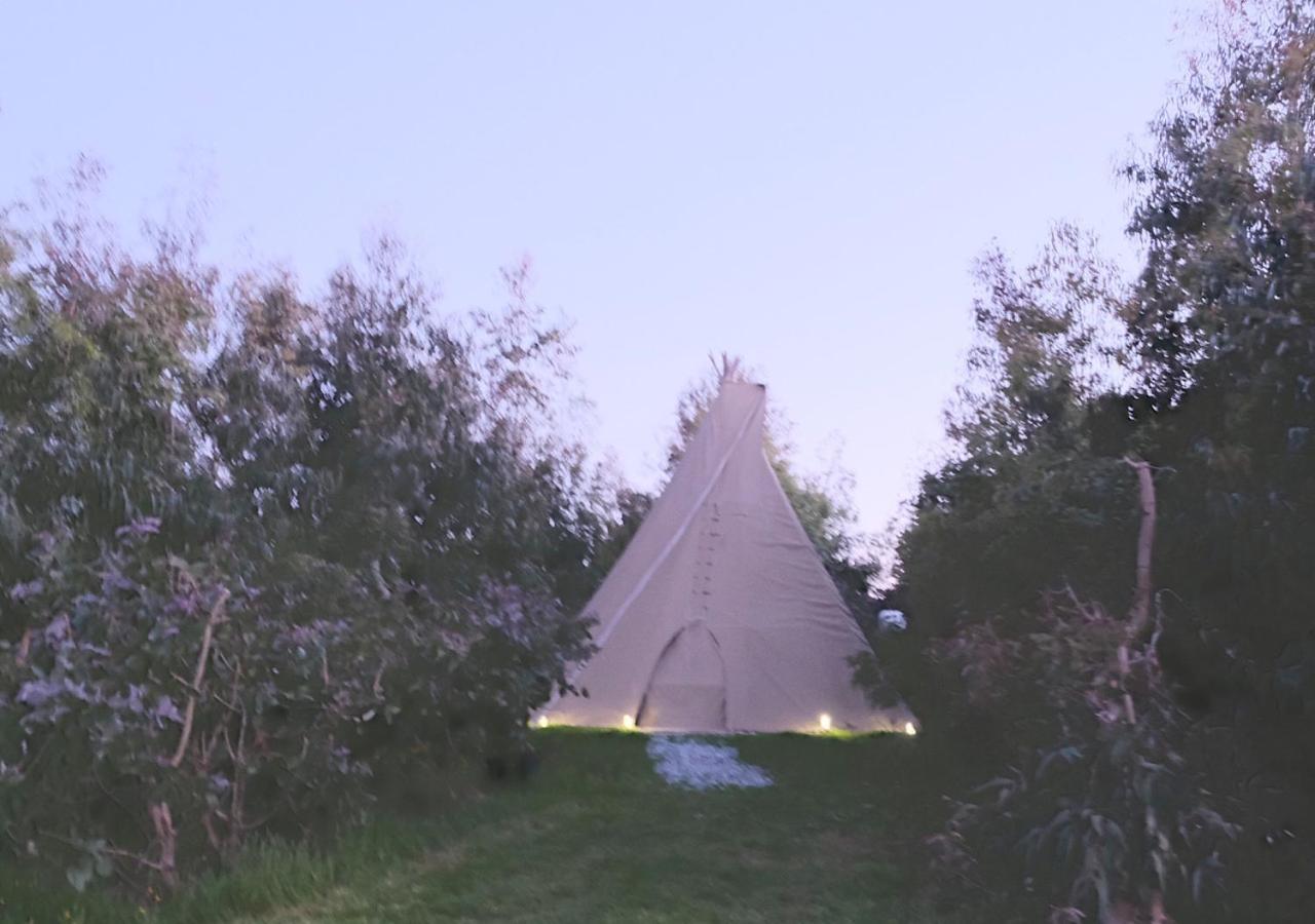 Gumtree Tipis Hotel Bickington Luaran gambar