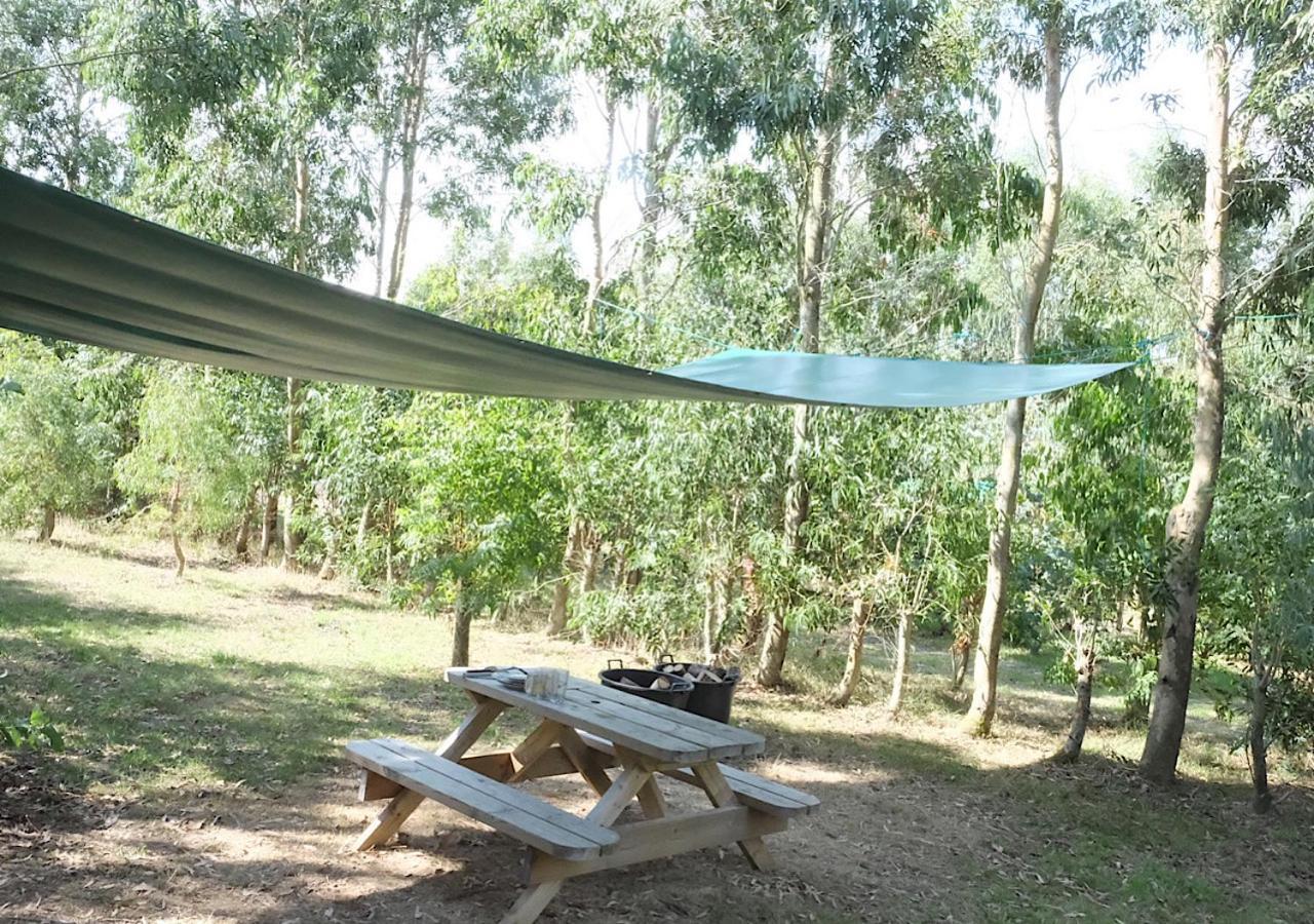 Gumtree Tipis Hotel Bickington Luaran gambar