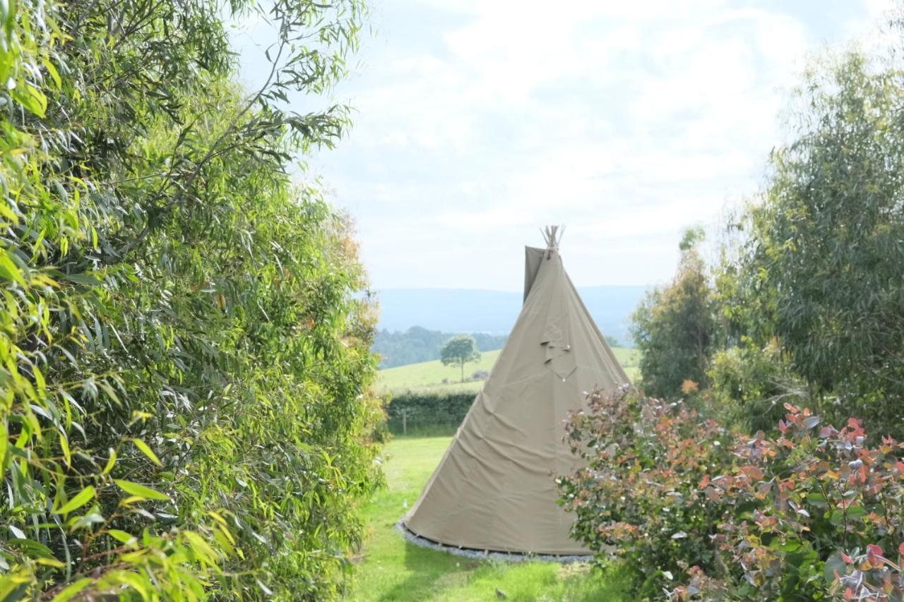 Gumtree Tipis Hotel Bickington Luaran gambar